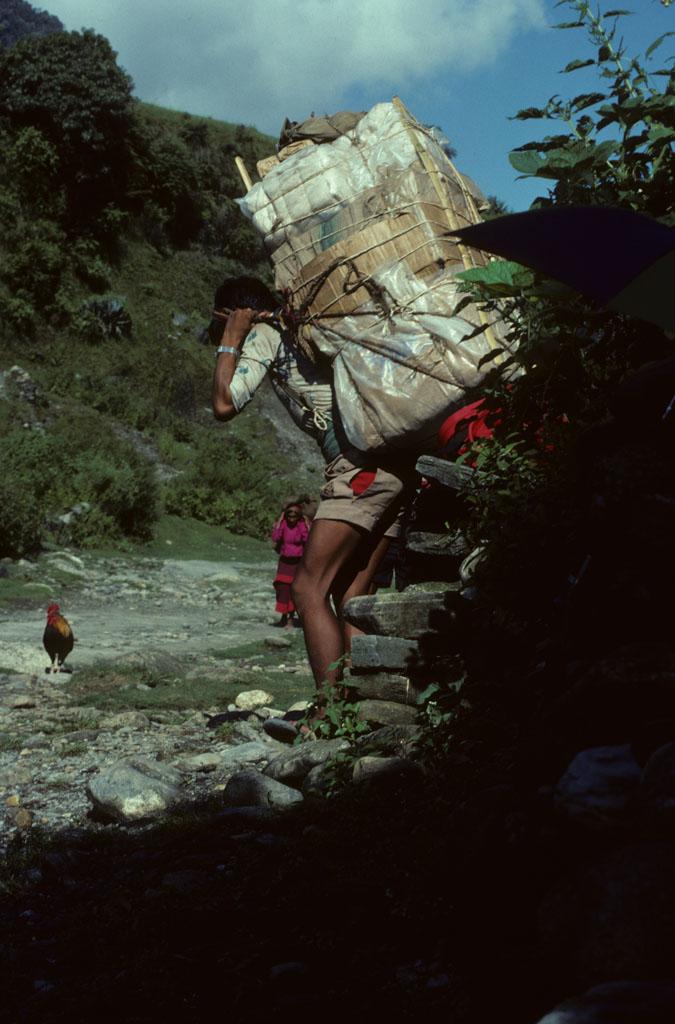 <img typeof="foaf:Image" src="http://statelibrarync.org/learnnc/sites/default/files/images/nepal_016.jpg" width="675" height="1024" /> <img typeof="foaf:Image" src="http://statelibrarync.org/learnnc/sites/default/files/images/nepal_016.jpg" width="675" height="1024" />