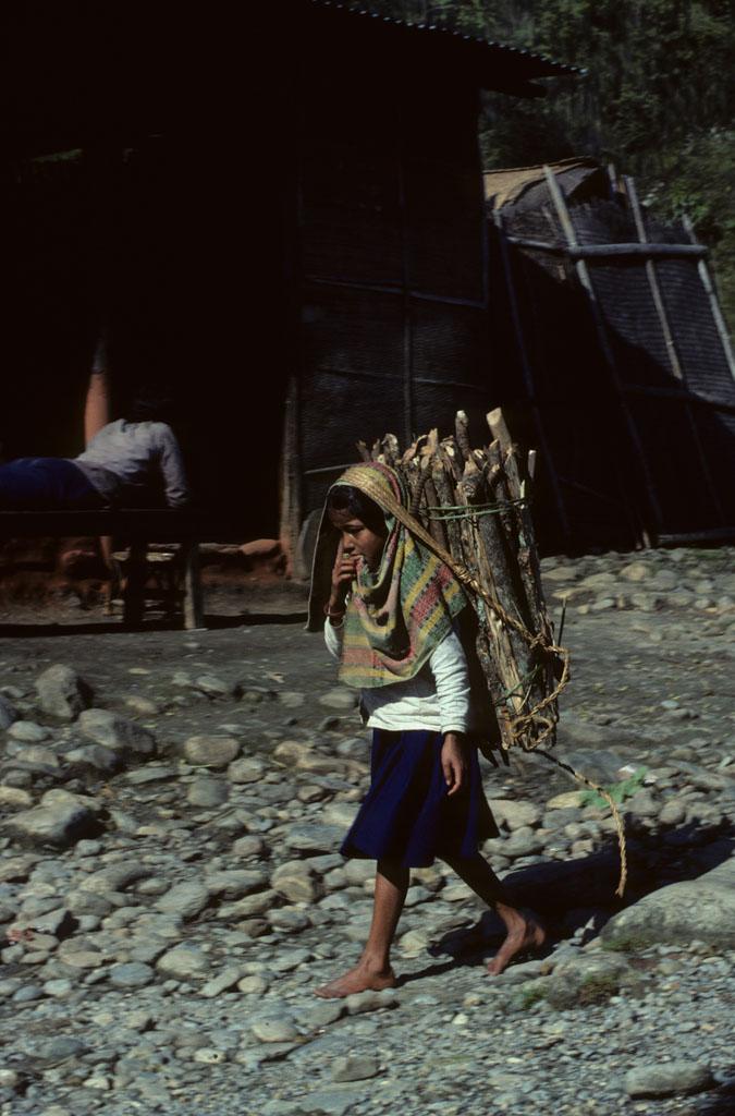 <img typeof="foaf:Image" src="http://statelibrarync.org/learnnc/sites/default/files/images/nepal_017.jpg" width="675" height="1024" /> <img typeof="foaf:Image" src="http://statelibrarync.org/learnnc/sites/default/files/images/nepal_017.jpg" width="675" height="1024" />