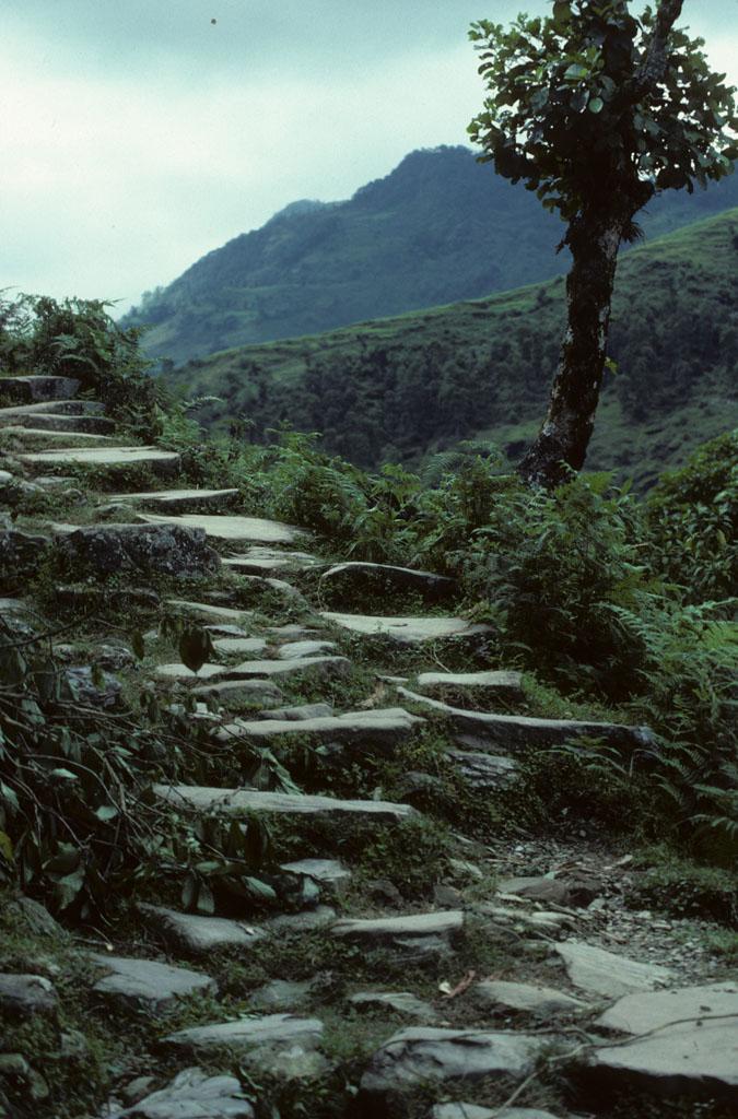<img typeof="foaf:Image" src="http://statelibrarync.org/learnnc/sites/default/files/images/nepal_025.jpg" width="675" height="1024" alt="Stone steps" title="Stone steps" /> <img typeof="foaf:Image" src="http://statelibrarync.org/learnnc/sites/default/files/images/nepal_025.jpg" width="675" height="1024" alt="Stone steps" title="Stone steps" />