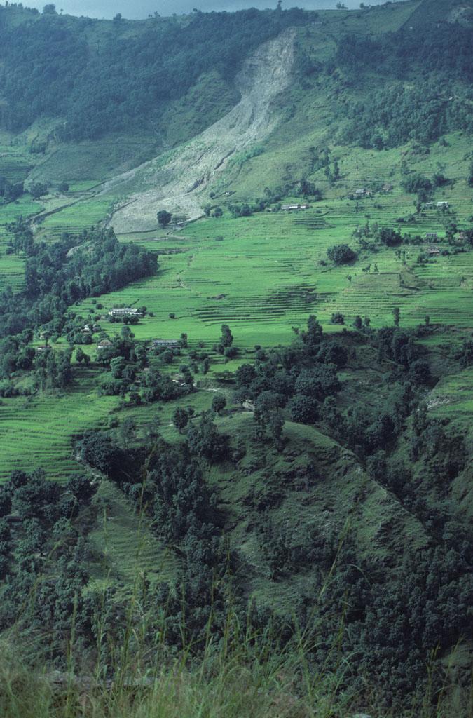<img typeof="foaf:Image" src="http://statelibrarync.org/learnnc/sites/default/files/images/nepal_031.jpg" width="675" height="1024" alt="Terraced fields of Naudanda, Nepal" title="Terraced fields of Naudanda, Nepal" /> <img typeof="foaf:Image" src="http://statelibrarync.org/learnnc/sites/default/files/images/nepal_031.jpg" width="675" height="1024" alt="Terraced fields of Naudanda, Nepal" title="Terraced fields of Naudanda, Nepal" />
