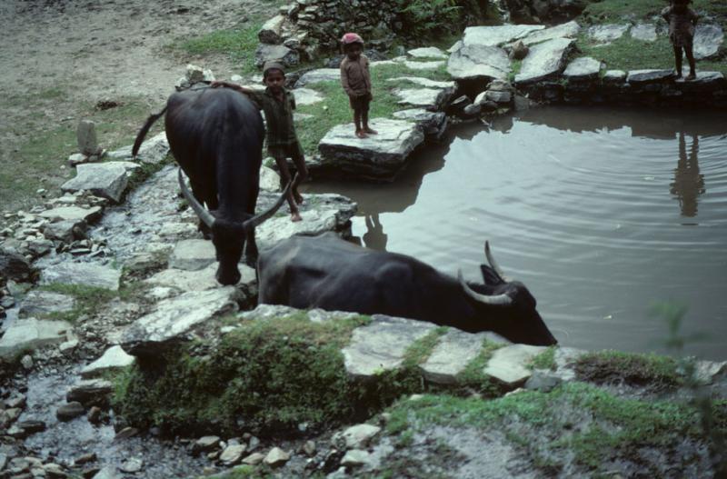 <img typeof="foaf:Image" src="http://statelibrarync.org/learnnc/sites/default/files/images/nepal_032.jpg" width="1024" height="675" /> <img typeof="foaf:Image" src="http://statelibrarync.org/learnnc/sites/default/files/images/nepal_032.jpg" width="1024" height="675" />