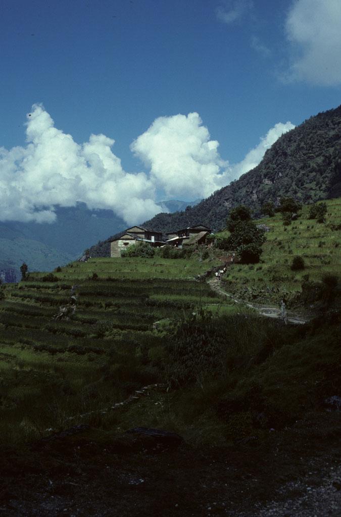 <img typeof="foaf:Image" src="http://statelibrarync.org/learnnc/sites/default/files/images/nepal_055.jpg" width="675" height="1024" alt="A village on a hillside, terraced fields and white clouds" title="A village on a hillside, terraced fields and white clouds" /> <img typeof="foaf:Image" src="http://statelibrarync.org/learnnc/sites/default/files/images/nepal_055.jpg" width="675" height="1024" alt="A village on a hillside, terraced fields and white clouds" title="A village on a hillside, terraced fields and white clouds" />