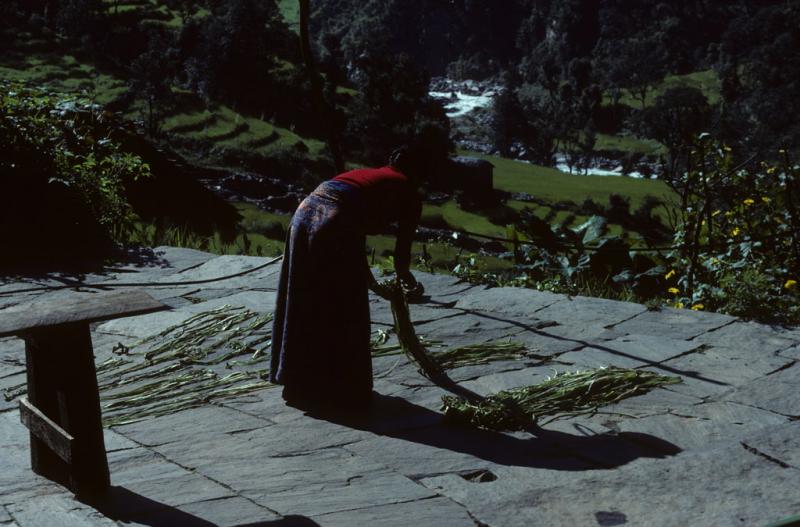 <img typeof="foaf:Image" src="http://statelibrarync.org/learnnc/sites/default/files/images/nepal_073.jpg" width="1024" height="675" /> <img typeof="foaf:Image" src="http://statelibrarync.org/learnnc/sites/default/files/images/nepal_073.jpg" width="1024" height="675" />