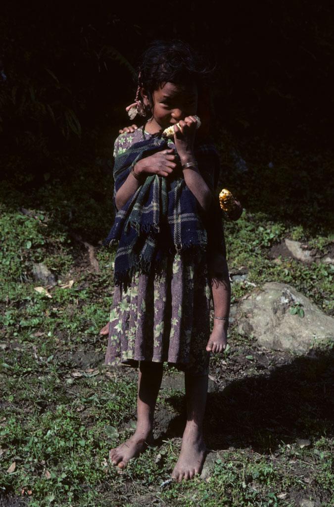 <img typeof="foaf:Image" src="http://statelibrarync.org/learnnc/sites/default/files/images/nepal_095.jpg" width="675" height="1024" /> <img typeof="foaf:Image" src="http://statelibrarync.org/learnnc/sites/default/files/images/nepal_095.jpg" width="675" height="1024" />