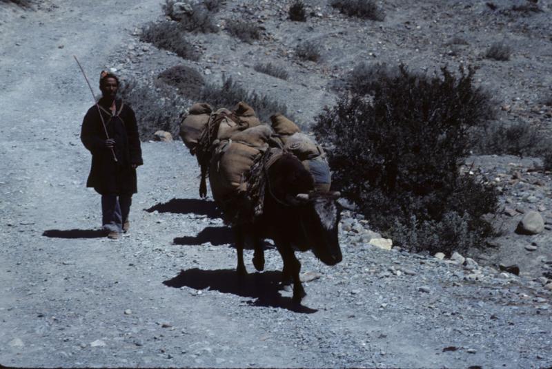 <img typeof="foaf:Image" src="http://statelibrarync.org/learnnc/sites/default/files/images/nepal_168.jpg" width="1024" height="686" /> <img typeof="foaf:Image" src="http://statelibrarync.org/learnnc/sites/default/files/images/nepal_168.jpg" width="1024" height="686" />