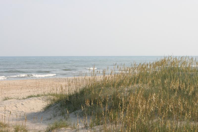 Ocracoke Beach Beach on Ocracoke Island. The dunes are covered in grasses and the ocean waves break in the background. It is midday.
