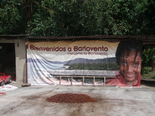 <img typeof="foaf:Image" src="http://statelibrarync.org/learnnc/sites/default/files/images/p7080579r_600.jpg" width="600" height="450" alt="Cacao plantation, Barlovento, Venezuela" title="Cacao plantation, Barlovento, Venezuela" /> <img typeof="foaf:Image" src="http://statelibrarync.org/learnnc/sites/default/files/images/p7080579r_600.jpg" width="600" height="450" alt="Cacao plantation, Barlovento, Venezuela" title="Cacao plantation, Barlovento, Venezuela" />