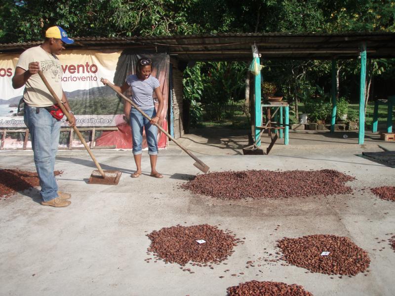<img typeof="foaf:Image" src="http://statelibrarync.org/learnnc/sites/default/files/images/p7080615r.jpg" width="1024" height="768" alt="Learning to flip cacao seeds" title="Learning to flip cacao seeds" /> <img typeof="foaf:Image" src="http://statelibrarync.org/learnnc/sites/default/files/images/p7080615r.jpg" width="1024" height="768" alt="Learning to flip cacao seeds" title="Learning to flip cacao seeds" />