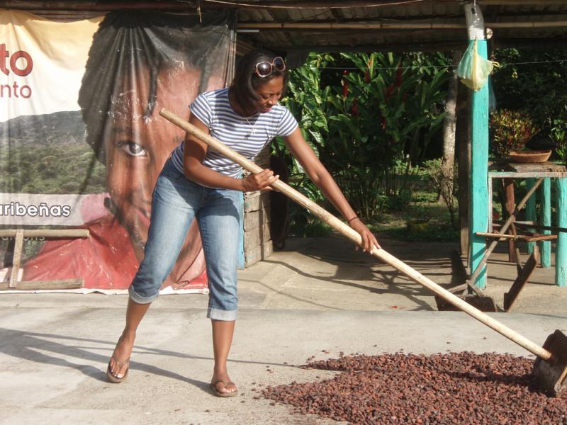 <img typeof="foaf:Image" src="http://statelibrarync.org/learnnc/sites/default/files/images/p7080618r.jpg" width="1024" height="768" alt="Flipping cacao seeds" title="Flipping cacao seeds" /> <img typeof="foaf:Image" src="http://statelibrarync.org/learnnc/sites/default/files/images/p7080618r.jpg" width="1024" height="768" alt="Flipping cacao seeds" title="Flipping cacao seeds" />
