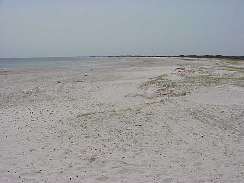 <img typeof="foaf:Image" src="http://statelibrarync.org/learnnc/sites/default/files/images/penninsula.jpg" width="500" height="375" alt="Peninsula-Carteret County" title="Peninsula-Carteret County" /> <img typeof="foaf:Image" src="http://statelibrarync.org/learnnc/sites/default/files/images/penninsula.jpg" width="500" height="375" alt="Peninsula-Carteret County" title="Peninsula-Carteret County" />