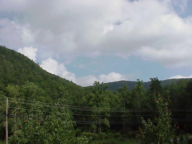 <img typeof="foaf:Image" src="http://statelibrarync.org/learnnc/sites/default/files/images/rain_and_forest.jpg" width="1024" height="768" alt="Rain and the forest" title="Rain and the forest" /> <img typeof="foaf:Image" src="http://statelibrarync.org/learnnc/sites/default/files/images/rain_and_forest.jpg" width="1024" height="768" alt="Rain and the forest" title="Rain and the forest" />