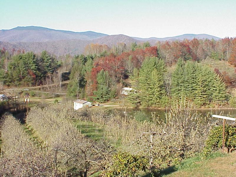 <img typeof="foaf:Image" src="http://statelibrarync.org/learnnc/sites/default/files/images/roan_massif.jpg" width="1024" height="768" alt="Roan Massif" title="Roan Massif" /> <img typeof="foaf:Image" src="http://statelibrarync.org/learnnc/sites/default/files/images/roan_massif.jpg" width="1024" height="768" alt="Roan Massif" title="Roan Massif" />