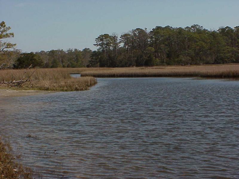 <img typeof="foaf:Image" src="http://statelibrarync.org/learnnc/sites/default/files/images/salt_marsh.jpg" width="1024" height="768" alt="Salt marshes" title="Salt marshes" /> <img typeof="foaf:Image" src="http://statelibrarync.org/learnnc/sites/default/files/images/salt_marsh.jpg" width="1024" height="768" alt="Salt marshes" title="Salt marshes" />