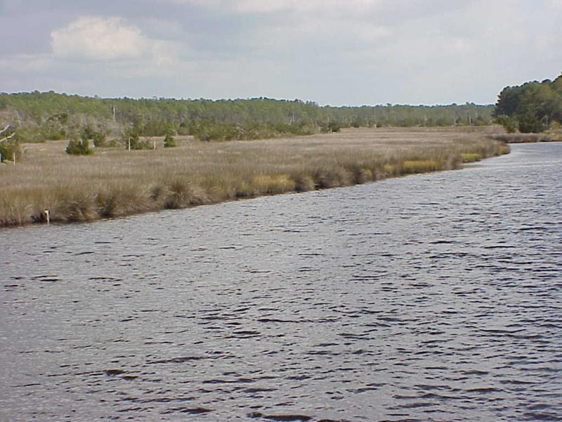 <img typeof="foaf:Image" src="http://statelibrarync.org/learnnc/sites/default/files/images/salt_marsh3.jpg" width="1024" height="768" alt="Salt marsh in a mid-salinity area; changed plant zonation" /> <img typeof="foaf:Image" src="http://statelibrarync.org/learnnc/sites/default/files/images/salt_marsh3.jpg" width="1024" height="768" alt="Salt marsh in a mid-salinity area; changed plant zonation" />