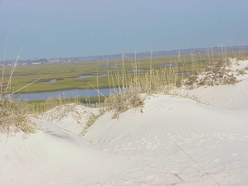 <img typeof="foaf:Image" src="http://statelibrarync.org/learnnc/sites/default/files/images/salt_marsh_bearisld.jpg" width="1024" height="768" alt="Salt marsh behind Bear Island west of Bogue Inlet" title="Salt marsh behind Bear Island west of Bogue Inlet" /> <img typeof="foaf:Image" src="http://statelibrarync.org/learnnc/sites/default/files/images/salt_marsh_bearisld.jpg" width="1024" height="768" alt="Salt marsh behind Bear Island west of Bogue Inlet" title="Salt marsh behind Bear Island west of Bogue Inlet" />