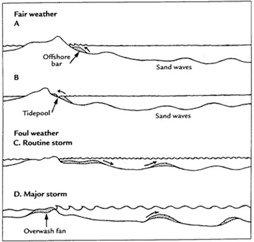 <img typeof="foaf:Image" src="http://statelibrarync.org/learnnc/sites/default/files/images/sand_exchange_diagram.jpg" width="500" height="478" alt="Diagram of sand exchange" title="Diagram of sand exchange" /> <img typeof="foaf:Image" src="http://statelibrarync.org/learnnc/sites/default/files/images/sand_exchange_diagram.jpg" width="500" height="478" alt="Diagram of sand exchange" title="Diagram of sand exchange" />