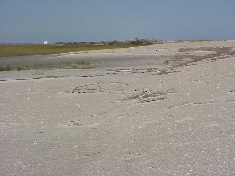 <img typeof="foaf:Image" src="http://statelibrarync.org/learnnc/sites/default/files/images/sand_lobes_0.jpg" width="1024" height="768" alt="Mansonboro Island after Hurricane" title="Mansonboro Island after Hurricane" /> <img typeof="foaf:Image" src="http://statelibrarync.org/learnnc/sites/default/files/images/sand_lobes_0.jpg" width="1024" height="768" alt="Mansonboro Island after Hurricane" title="Mansonboro Island after Hurricane" />