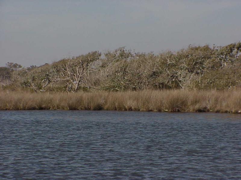 <img typeof="foaf:Image" src="http://statelibrarync.org/learnnc/sites/default/files/images/sand_ridge.jpg" width="1024" height="768" alt="Sand ridge- undeveloped " title="Sand ridge- undeveloped " /> <img typeof="foaf:Image" src="http://statelibrarync.org/learnnc/sites/default/files/images/sand_ridge.jpg" width="1024" height="768" alt="Sand ridge- undeveloped " title="Sand ridge- undeveloped " />