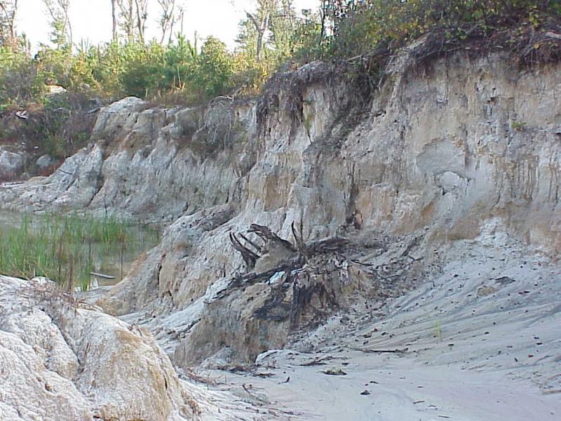 <img typeof="foaf:Image" src="http://statelibrarync.org/learnnc/sites/default/files/images/sand_supplies.jpg" width="1024" height="768" alt="Sandpit-Swansboro Ridge" title="Sandpit-Swansboro Ridge" /> <img typeof="foaf:Image" src="http://statelibrarync.org/learnnc/sites/default/files/images/sand_supplies.jpg" width="1024" height="768" alt="Sandpit-Swansboro Ridge" title="Sandpit-Swansboro Ridge" />