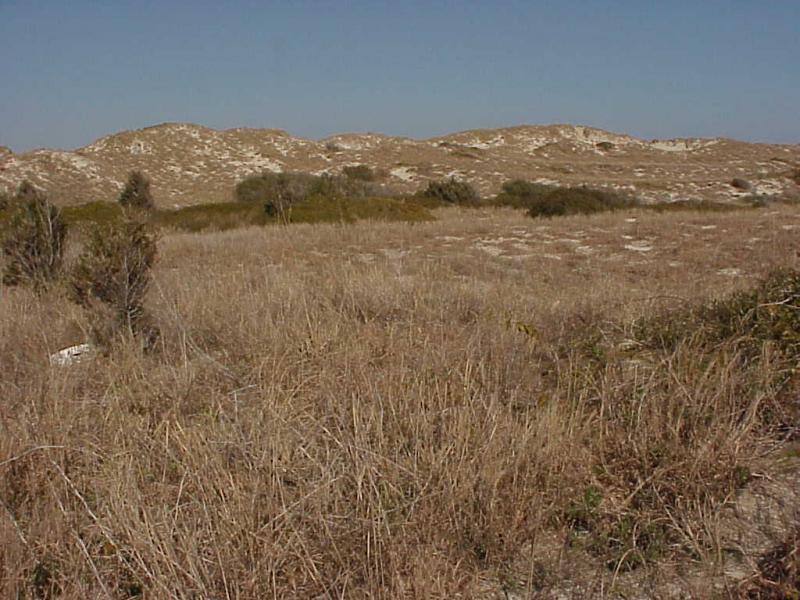 <img typeof="foaf:Image" src="http://statelibrarync.org/learnnc/sites/default/files/images/seaward_slope.jpg" width="1024" height="768" alt="Seaward slope" title="Seaward slope" /> <img typeof="foaf:Image" src="http://statelibrarync.org/learnnc/sites/default/files/images/seaward_slope.jpg" width="1024" height="768" alt="Seaward slope" title="Seaward slope" />