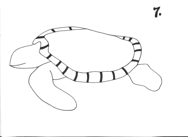 <img typeof="foaf:Image" src="http://statelibrarync.org/learnnc/sites/default/files/images/step_7.jpg" width="2338" height="1700" alt="Sea turtle drawing: step 7" title="Sea turtle drawing: step 7" /> <img typeof="foaf:Image" src="http://statelibrarync.org/learnnc/sites/default/files/images/step_7.jpg" width="2338" height="1700" alt="Sea turtle drawing: step 7" title="Sea turtle drawing: step 7" />