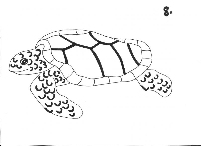 <img typeof="foaf:Image" src="http://statelibrarync.org/learnnc/sites/default/files/images/step_8.jpg" width="2338" height="1700" alt="Sea turtle drawing: step 8" title="Sea turtle drawing: step 8" /> <img typeof="foaf:Image" src="http://statelibrarync.org/learnnc/sites/default/files/images/step_8.jpg" width="2338" height="1700" alt="Sea turtle drawing: step 8" title="Sea turtle drawing: step 8" />