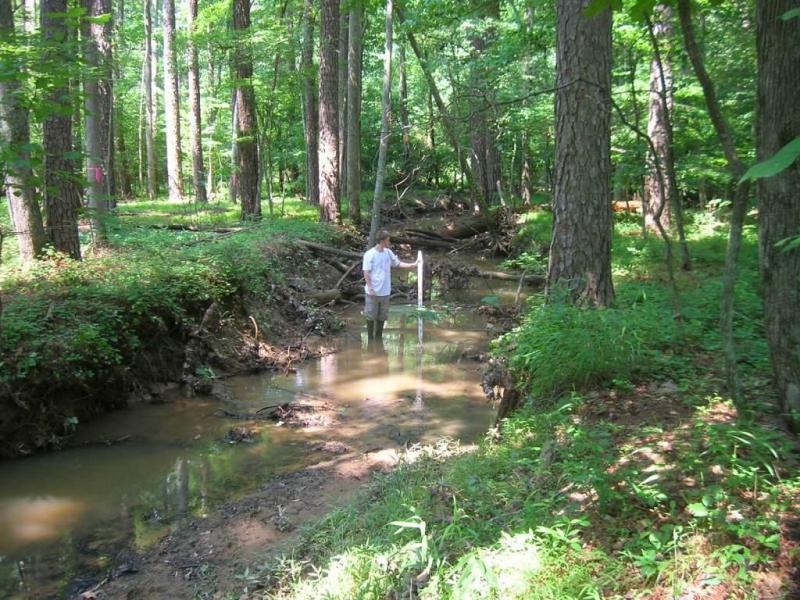 <img typeof="foaf:Image" src="http://statelibrarync.org/learnnc/sites/default/files/images/upper_mudcreek1.jpg" width="1024" height="768" alt="Upper Mud Creek" title="Upper Mud Creek" /> <img typeof="foaf:Image" src="http://statelibrarync.org/learnnc/sites/default/files/images/upper_mudcreek1.jpg" width="1024" height="768" alt="Upper Mud Creek" title="Upper Mud Creek" />