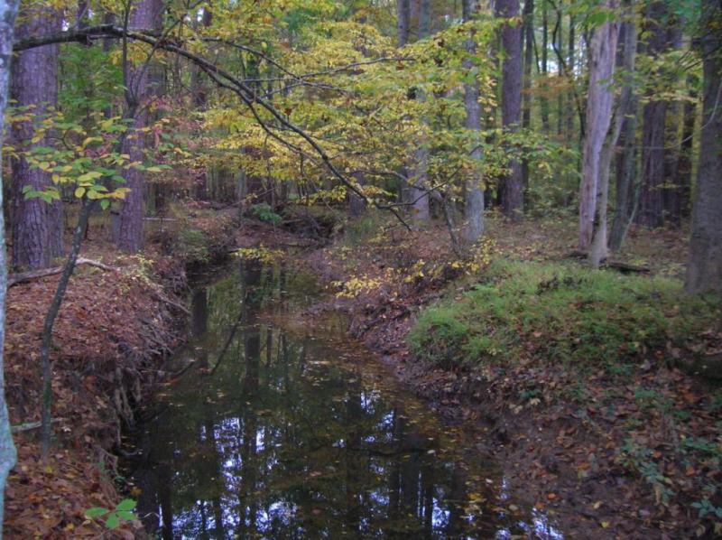 <img typeof="foaf:Image" src="http://statelibrarync.org/learnnc/sites/default/files/images/upper_mudcreek2.jpg" width="1024" height="766" alt="Upper Mud Creek" /> <img typeof="foaf:Image" src="http://statelibrarync.org/learnnc/sites/default/files/images/upper_mudcreek2.jpg" width="1024" height="766" alt="Upper Mud Creek" />