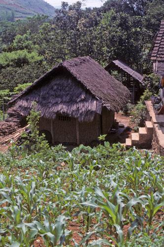 <img typeof="foaf:Image" src="http://statelibrarync.org/learnnc/sites/default/files/images/vietnam_013.jpg" width="333" height="500" /> <img typeof="foaf:Image" src="http://statelibrarync.org/learnnc/sites/default/files/images/vietnam_013.jpg" width="333" height="500" />