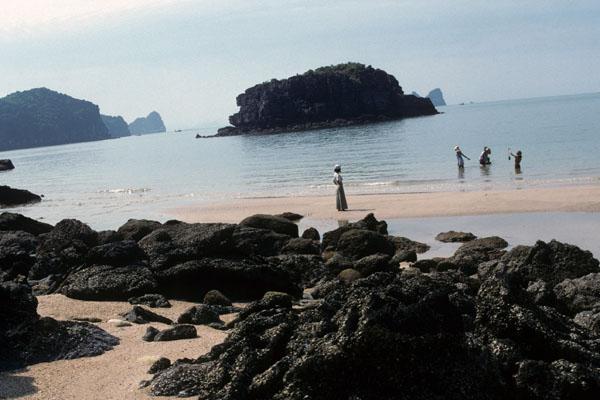 <img typeof="foaf:Image" src="http://statelibrarync.org/learnnc/sites/default/files/images/vietnam_018.jpg" width="600" height="400" /> <img typeof="foaf:Image" src="http://statelibrarync.org/learnnc/sites/default/files/images/vietnam_018.jpg" width="600" height="400" />