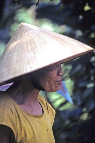 <img typeof="foaf:Image" src="http://statelibrarync.org/learnnc/sites/default/files/images/vietnam_021.jpg" width="333" height="500" /> <img typeof="foaf:Image" src="http://statelibrarync.org/learnnc/sites/default/files/images/vietnam_021.jpg" width="333" height="500" />