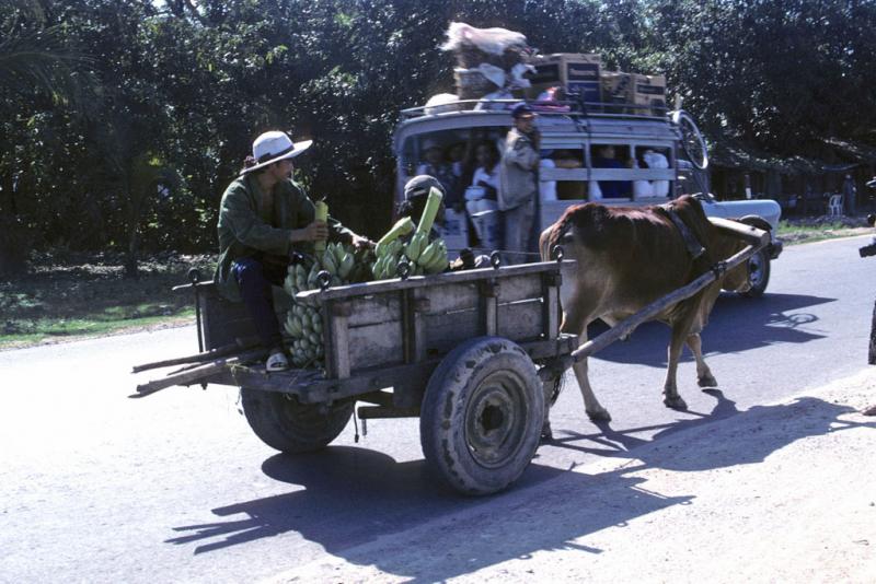<img typeof="foaf:Image" src="http://statelibrarync.org/learnnc/sites/default/files/images/vietnam_038.jpg" width="1024" height="683" alt="Two men in oxcart with bananas pass a bus on the road from Nha Trang to Dalat" title="Two men in oxcart with bananas pass a bus on the road from Nha Trang to Dalat" /> <img typeof="foaf:Image" src="http://statelibrarync.org/learnnc/sites/default/files/images/vietnam_038.jpg" width="1024" height="683" alt="Two men in oxcart with bananas pass a bus on the road from Nha Trang to Dalat" title="Two men in oxcart with bananas pass a bus on the road from Nha Trang to Dalat" />