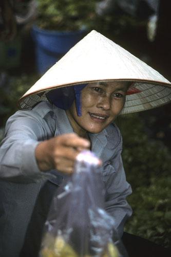 <img typeof="foaf:Image" src="http://statelibrarync.org/learnnc/sites/default/files/images/vietnam_060.jpg" width="333" height="500" /> <img typeof="foaf:Image" src="http://statelibrarync.org/learnnc/sites/default/files/images/vietnam_060.jpg" width="333" height="500" />