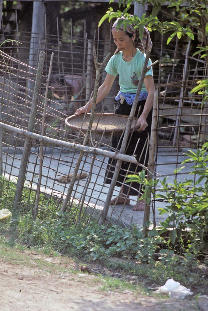 <img typeof="foaf:Image" src="http://statelibrarync.org/learnnc/sites/default/files/images/vietnam_071.jpg" width="683" height="1024" alt="Woman stands in fenced yard winnowing rice on woven tray at Mai Chau" title="Woman stands in fenced yard winnowing rice on woven tray at Mai Chau" /> <img typeof="foaf:Image" src="http://statelibrarync.org/learnnc/sites/default/files/images/vietnam_071.jpg" width="683" height="1024" alt="Woman stands in fenced yard winnowing rice on woven tray at Mai Chau" title="Woman stands in fenced yard winnowing rice on woven tray at Mai Chau" />