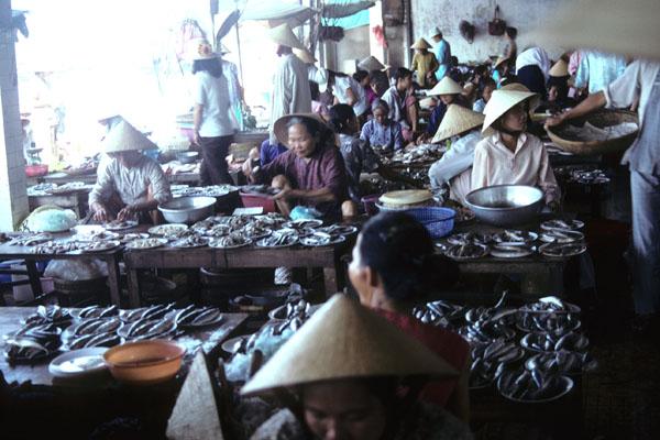 <img typeof="foaf:Image" src="http://statelibrarync.org/learnnc/sites/default/files/images/vietnam_106.jpg" width="600" height="400" /> <img typeof="foaf:Image" src="http://statelibrarync.org/learnnc/sites/default/files/images/vietnam_106.jpg" width="600" height="400" />