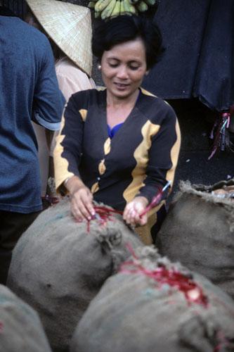 <img typeof="foaf:Image" src="http://statelibrarync.org/learnnc/sites/default/files/images/vietnam_144.jpg" width="333" height="500" /> <img typeof="foaf:Image" src="http://statelibrarync.org/learnnc/sites/default/files/images/vietnam_144.jpg" width="333" height="500" />