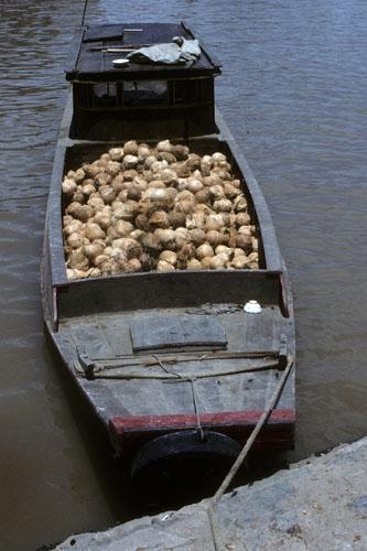 <img typeof="foaf:Image" src="http://statelibrarync.org/learnnc/sites/default/files/images/vietnam_184.jpg" width="333" height="500" /> <img typeof="foaf:Image" src="http://statelibrarync.org/learnnc/sites/default/files/images/vietnam_184.jpg" width="333" height="500" />