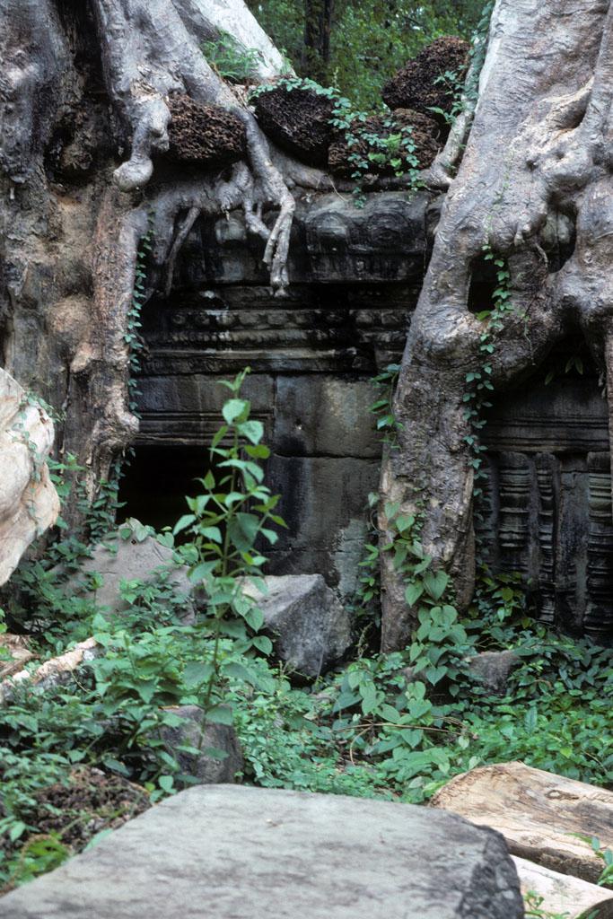 <img typeof="foaf:Image" src="http://statelibrarync.org/learnnc/sites/default/files/images/vietnam_225.jpg" width="683" height="1024" alt="Preah Khan Temple at Angkor" title="Preah Khan Temple at Angkor" /> <img typeof="foaf:Image" src="http://statelibrarync.org/learnnc/sites/default/files/images/vietnam_225.jpg" width="683" height="1024" alt="Preah Khan Temple at Angkor" title="Preah Khan Temple at Angkor" />