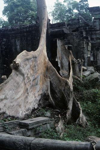 <img typeof="foaf:Image" src="http://statelibrarync.org/learnnc/sites/default/files/images/vietnam_227.jpg" width="333" height="500" /> <img typeof="foaf:Image" src="http://statelibrarync.org/learnnc/sites/default/files/images/vietnam_227.jpg" width="333" height="500" />