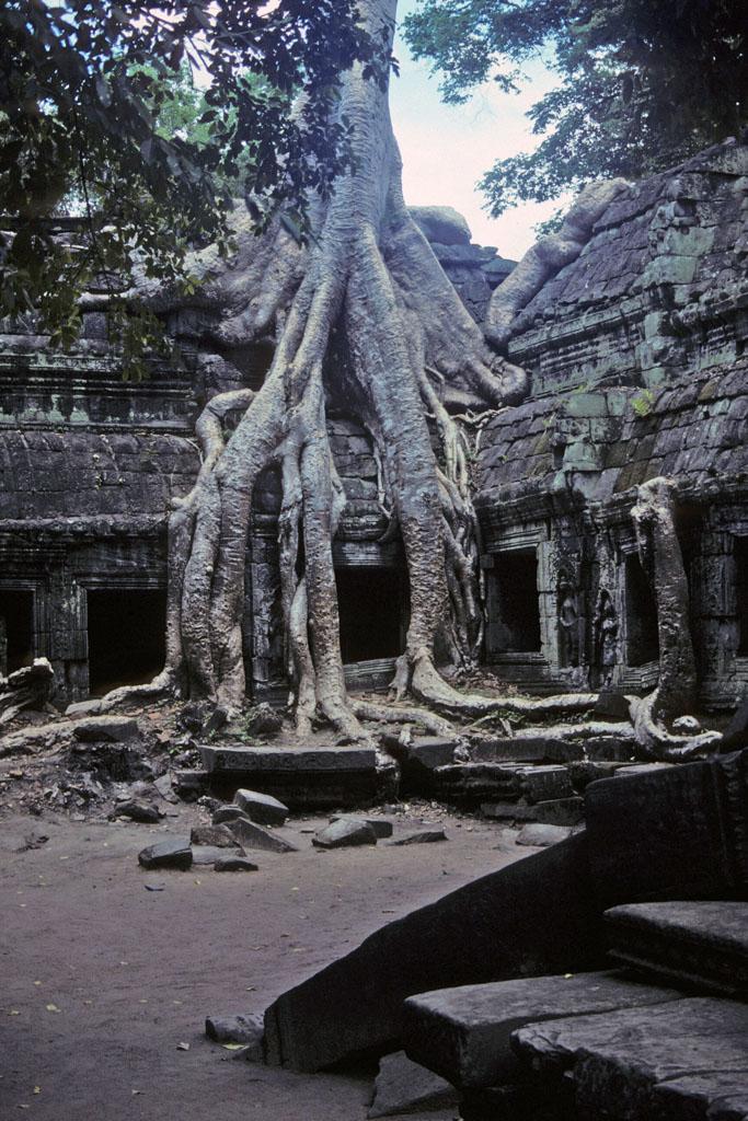 <img typeof="foaf:Image" src="http://statelibrarync.org/learnnc/sites/default/files/images/vietnam_230.jpg" width="683" height="1024" alt="Tangled roots of tree grow over building at Ta Prohm" title="Tangled roots of tree grow over building at Ta Prohm" /> <img typeof="foaf:Image" src="http://statelibrarync.org/learnnc/sites/default/files/images/vietnam_230.jpg" width="683" height="1024" alt="Tangled roots of tree grow over building at Ta Prohm" title="Tangled roots of tree grow over building at Ta Prohm" />