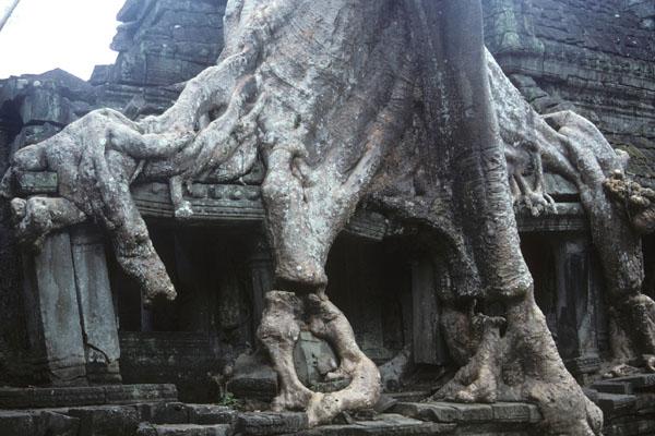 <img typeof="foaf:Image" src="http://statelibrarync.org/learnnc/sites/default/files/images/vietnam_231.jpg" width="600" height="400" /> <img typeof="foaf:Image" src="http://statelibrarync.org/learnnc/sites/default/files/images/vietnam_231.jpg" width="600" height="400" />