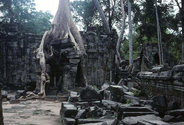 <img typeof="foaf:Image" src="http://statelibrarync.org/learnnc/sites/default/files/images/vietnam_234.jpg" width="600" height="409" /> <img typeof="foaf:Image" src="http://statelibrarync.org/learnnc/sites/default/files/images/vietnam_234.jpg" width="600" height="409" />