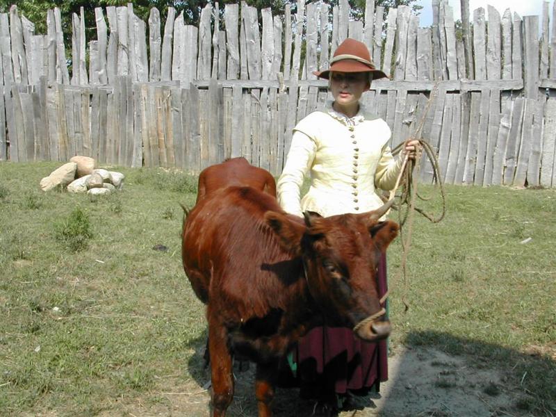<img typeof="foaf:Image" src="http://statelibrarync.org/learnnc/sites/default/files/images/woman_and_cow.jpg" width="1024" height="768" alt="Colonial woman and cow" title="Colonial woman and cow" /> <img typeof="foaf:Image" src="http://statelibrarync.org/learnnc/sites/default/files/images/woman_and_cow.jpg" width="1024" height="768" alt="Colonial woman and cow" title="Colonial woman and cow" />