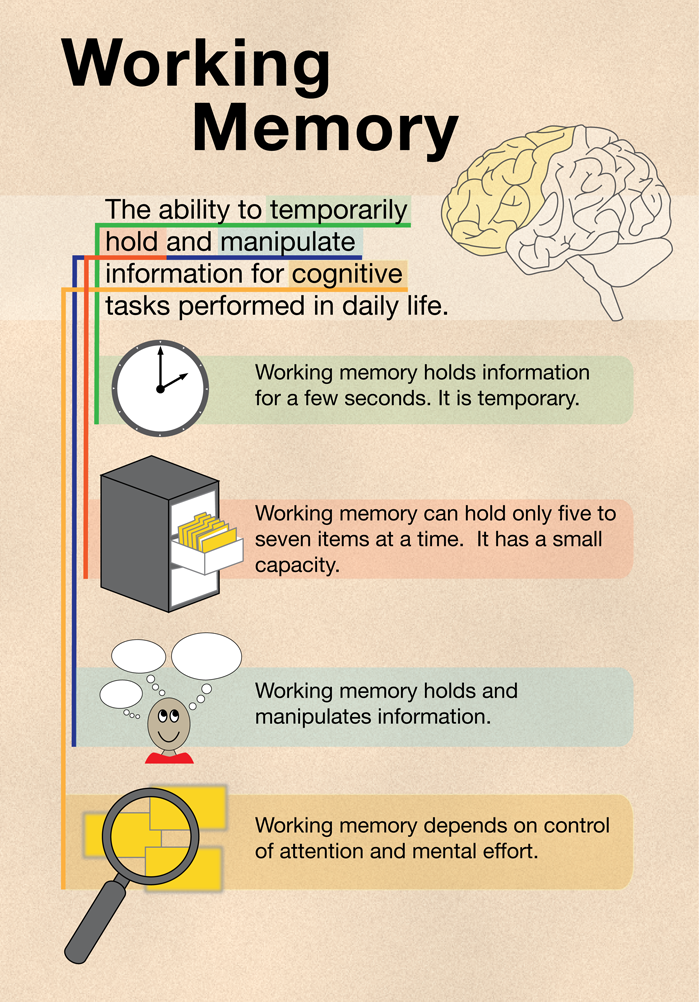 <img typeof="foaf:Image" src="http://statelibrarync.org/learnnc/sites/default/files/images/working_memory.png" width="700" height="1002" alt="Working memory illustration" title="Working memory illustration" /> <img typeof="foaf:Image" src="http://statelibrarync.org/learnnc/sites/default/files/images/working_memory.png" width="700" height="1002" alt="Working memory illustration" title="Working memory illustration" />