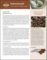 View or dowload the full version from the NC Wildlife Resources Commission PDF