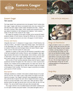 View or download the full profile from the NC Wildlife Resources Commission