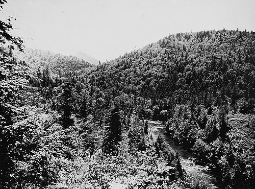 From Gooseneck, or loop view- Deciduous and coniferous trees mingle in a color scheme of bewildering beauty, May 31, 1909. Courtesy of the Frank W. Bicknell Photograph Collection, North Carolina State Archives, call #: PhC68_1_539, Raleigh, NC. From Gooseneck, or loop view- Deciduous and coniferous trees mingle in a color scheme of bewildering beauty May 31, 1909 Frank W. Bicknell Photograph Collection, PhC.8, North Carolina State Archives, call #: PhC68_1_539, Raleigh, NC.