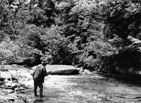 Fishing in stream in Pisgah National Forest, no date, unidentified fisherman. From Carolina Power and Light (CP&L) Photograph Collection, North Carolina State Archives, call #: PhC68_1_539. Fishing in stream in Pisgah National Forest, no date, unidentified fisherman. From Carolina Power and Light (CP&L) Photograph Collection, North Carolina State Archives, call #: PhC68_1_539.