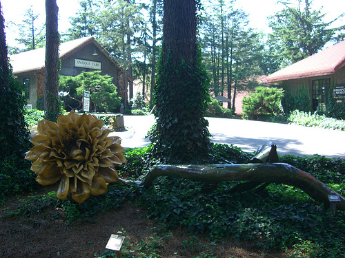 "Grovewood Gallery, Asheville, June 2009." Image courtesy of Flickr user Rodny Dioxin. 