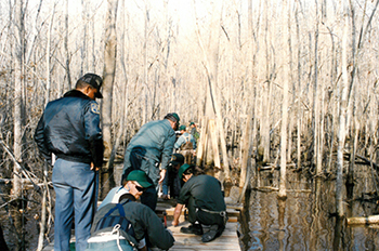 Building the Palmetto Boardwalk, Goose Creek State Park, photograph circa 1980. Used courtesy of the North Carolina Department of Parks and Recreation. Building the Palmettao Boardwalk, Goose Creek State Park, photograph circa 1980. Used courtesy of the North Carolina Department of Parks and Recreation.
